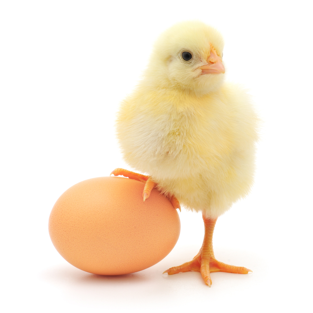 Which came first? Did consuming more dairy food cause earlier symptom onset, or does being close to onset cause increased appetite for dairy?  