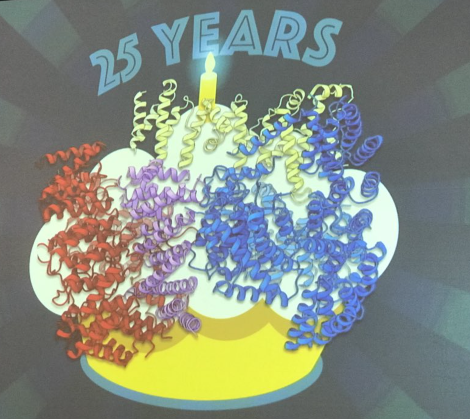 Dr Kochanek unveiled the structure of huntingtin (the squiggly ribbons) in February at the therapeutics conference, as a birthday present to the HD community celebrating 25 years since the discovery of the gene.
