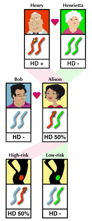 Hur uteslutnings tester fungerar. Alla foster avlade av Alison och Bob kommer att ärva en kopia av kromosom 4 från antingen Henrik eller Henrietta. Kromosomer ärvda från Henry kan bära genen för HS. Uteslutningstest avslöjar vilka graviditeter som har ärvt Henriettas exemplar av kromosom 4 och är därför i låg risk för att ärva sjukdomen.  